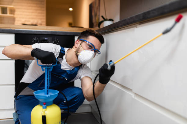 Best Pest Inspection Near Me  in Surf City, NC