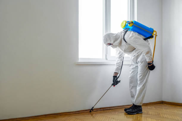 Trusted Surf City, NC Pest Control Experts
