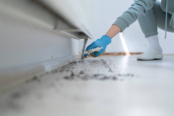 Pest Control for Restaurants in Surf City, NC